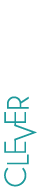 logo-cleverdue-mini